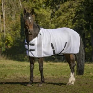 Chemise Mesh 3D - Equitheme