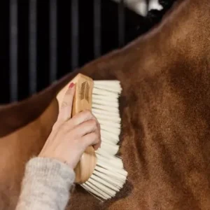 Bouchon à Poils Doux - Grooming Deluxe