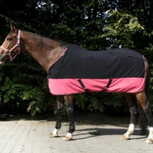 Chemise Polaire - Equitheme