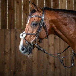 Bridon Muserolle Croisée - Dy'on