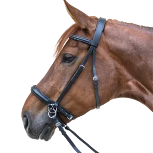 Bridon Sans Mors - Star