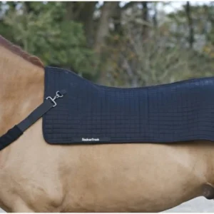 Chauffe Dos Royal - Back On Track