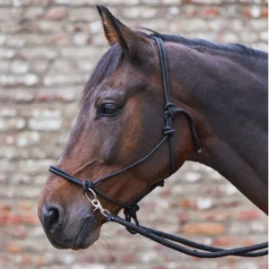 Licol À Nœuds Avec Rênes - Waldhausen