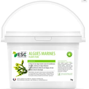 Algues Marines, Fatigue et baisse de forme - ESC Laboratoire