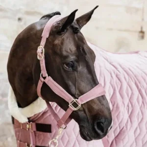 Longe Rope Basic - Kentucky