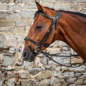 Bridon "Différence" - Dy'on