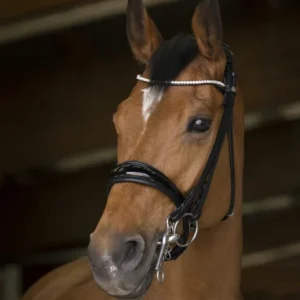 Bride "Shiny" - Norton