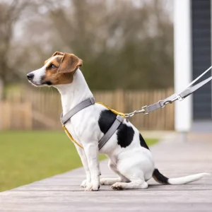 Harnais pour chien HKM Anam Cara