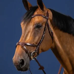 Bridon X-Fit New English Collection - Dy'on