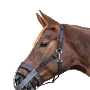 Panier Textile - Waldhausen