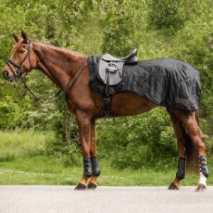 hfghgd.jpgv1696969215 Couvre-Reins Exclusive, 50 G - Waldhausen