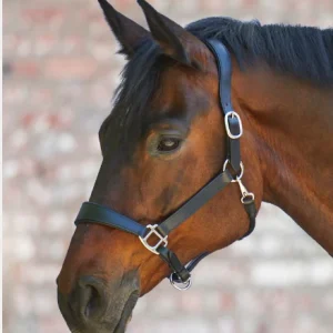 Licol X-Line En Cuir Anatomic -Waldhausen