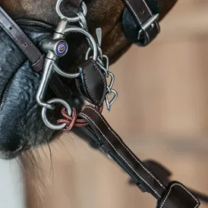 Alliances De Pelham Courtes - Dy'on