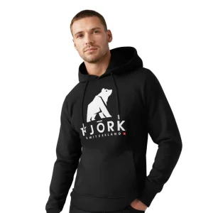 Hoodie Titlis Homme