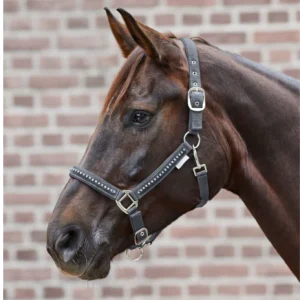 Licol Crystal - Waldhausen