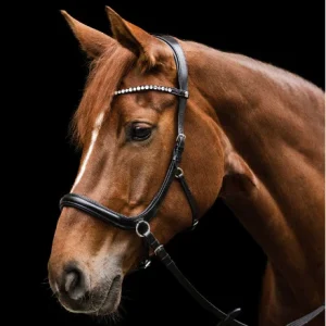 Bridon Sans Mors X-Line Sensation - Waldhausen