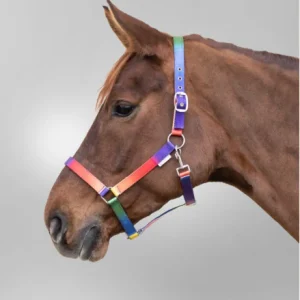 kj_hk_h_v.pngv1692520182 Licol Arc-En-Ciel - Waldhausen