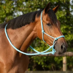 Licol corde avec rêne QHP