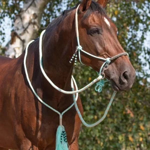 Licol corde avec rêne QHP Combi liberty