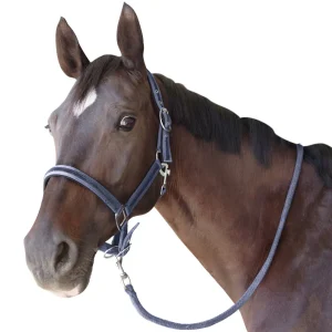 licol-longe-poney-cheval-flags-and-cup-beluga-denim.jpgv1663767328 Licol avec longe Flags&Cup Beluga