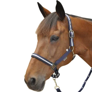 licol-poney-cheval-canter-nylon.jpgv1720186674 Licol avec longe Canter Nylon