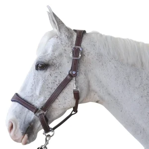 Licol Flags&Cup Paris