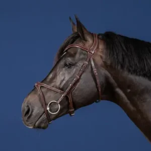 Bridon X-Fit US Collection - Dy'on