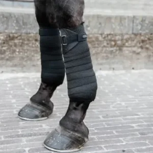 Bandages Élastique- Kentucky