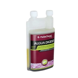 Algua Digest - Paskacheval