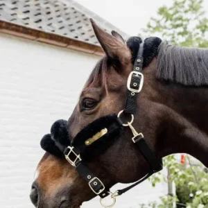 Licol Nylon Mouton Soft - Kentucky