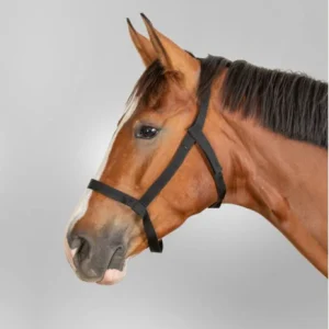 Licol De Prairie - Waldhausen