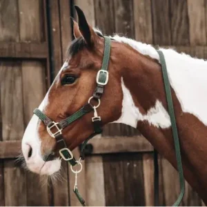 Licol Plaited Nylon - Kentucky