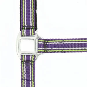 Licol "Strong" - Norton