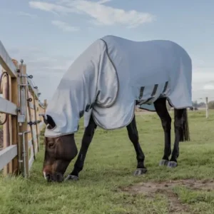 Couverture Anti-dermite - Kentucky