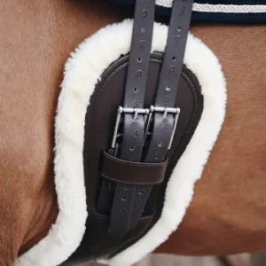 Mouton amovible Sangle Anatomique courte - Kentucky