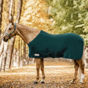 Chemise Polaire Economic - Waldhausen