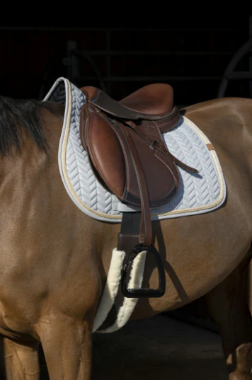 Tapis Softy Mixte - Equithème – Image 4