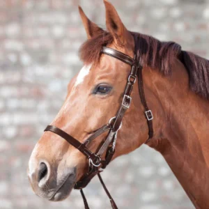 Bridon Sans Mors Two - Star