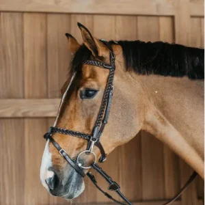 Bridon D'entrainement Tréssé Working - Dy'on