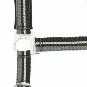 Licol + Longe Brillant - Norton