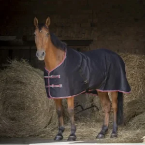 Chemise De box Brillante - Equitheme