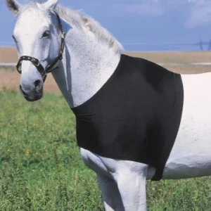 Protection Épaule - Equitheme