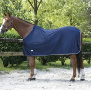 Chemise Séchante Microfleece - Equitheme