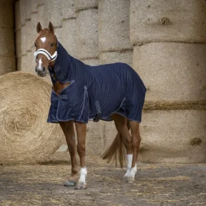 Chemise Cool Dry Combo - Equithème