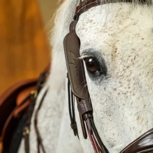 Montants "Focus' - Dy'on