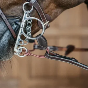 Alliances De Pelham Longues - Dy'on