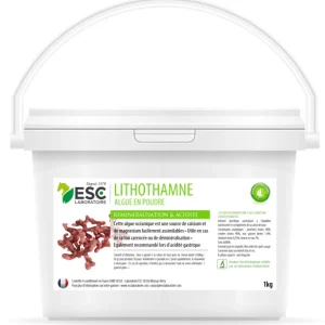 LITHOTHAMNE – Reminéralisation et acidité gastrique cheval - ESC Laboratoire