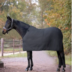 Sous-Couverture En Polaire Economic - Waldhausen